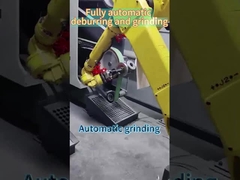 Fully automatic deburring and grinding