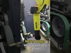 4000mm Robotic Grinding Machine with 2 Grinding Machines and 4 Sand Belts